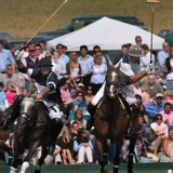 Polo, Commercial Wedding Photographers: Photoscience.co.uk